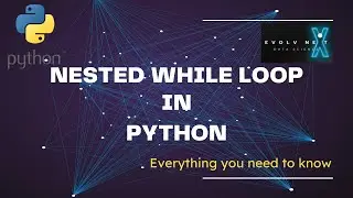 Python Basics 08   nested while loop 