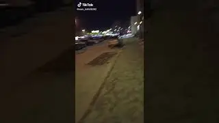 ШОК! На школьника из Чернобыля напала собака-мутант!