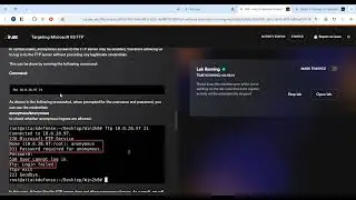 5 - Targeting Microsoft IIS FTP
