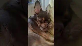 ОСТОРОЖНО!!👀 глазки закрыватся.. 