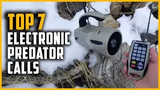 Top 7 Best Electronic Predator Calls 2023