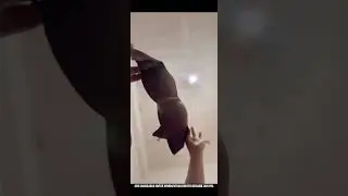 Auntie, don't you realize? 🤔 Risk of putting the camera down 🫣 