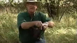 Turpin Tips Season 2 Episode 83 Sock Scent Dispersal