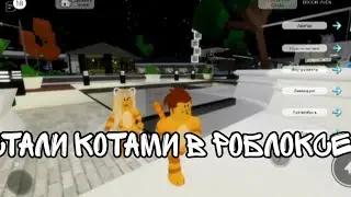 СТАЛИ КОТАМИ В РОБЛОКСЕ С МОЕЙ СЕСТРОЙ!!!!