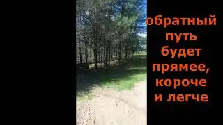 Велопробег 14 августа 2024 г.