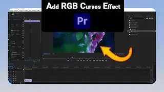 How to Add RGB Curves Effect on Premiere Pro [NEW]