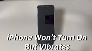 iPhone Won't Turn On But Vibrates? 5 Step to Try When iPhone Is Black But Bibrating