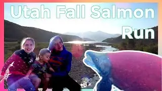 Utah Family Fun/Rock Cliff Recreation Area Salmon Spawning