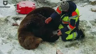 Пап, почеши мне животик🐻🥰