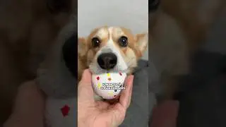 Как играть в мяч 