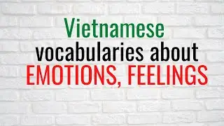 Vietnamese vocabularies about EMOTIONS, FEELINGS #learn_vietnamese_with_JT