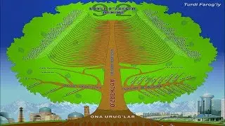 The map of the tree of the Uzbek nation