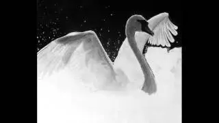 Devakant - White Swan