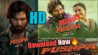 How to download Pushpa full movie in hindi hd | The InfoBaaz