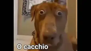 quando scopri che 