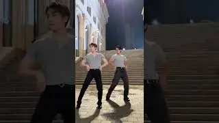 Seventeen LOVE MONEY FAME WONWOO & MINGYU Dance Challenge