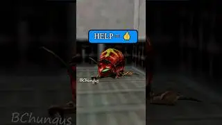 A friend in need is a friend indeed Half-Life