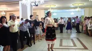 Grupul Profesional&Ileana Mustacel-Sarbe tari de joc