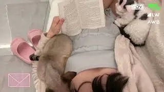 🍪•pink pilates princess (a playlist)♬