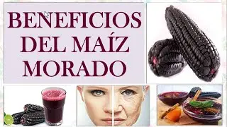 BENEFICIOS DEL MAIZ MORADO