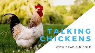 Brad & Nicole Talk Backyard Chickens on Coop Dreams TV Teaching Tuesday