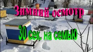 Зимний осмотр на пасеке 30 сек  на семью  Зимовка пчел