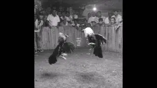 Black Pistol Fire - Don't wake The Riot - Full Album