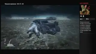 Вечерний стрим