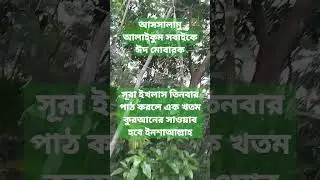 সুরা ইখলাস#shorts#short#shortsfeed