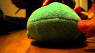 pokemon Adventures last winter videos pt 1