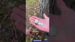 С Днём Рождения меня🎁, буду вечером в плюсе?#donate #shorts