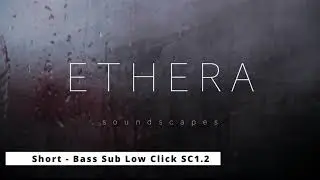 Ethera Sound 2.0 meets Unify and Davinci Resolve Patch: Short - Bass Sub Low Click SC1.2