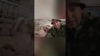 Ждём опорос 