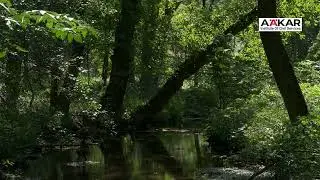 गुरुच्या नजरेतून जीवनातील अद्भुत सौंदर्य  |  मा. इंद्रजित देशमुख सर