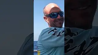 White Marlin from a sailboat! #gulfofmexico  #sailingadventures