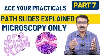 Microscopy Made Easy – Part 7: Quick Revision of Common Pathology Slides | Dr. Vijay Shankar