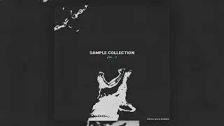 (20+) Sample Collection Vol. 3 [Inspired By: Cubeatz, Vou, Pyrex, Southside, Vintage Samples]