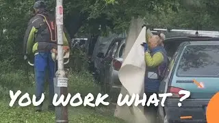 Working as a car shield?