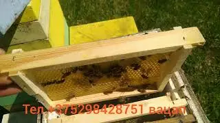 1мая мини +  с  зимавалыми маткоми ф1