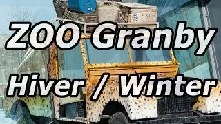 Photo Slideshow - Granby Zoo Winter