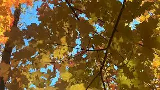 Опасное полнолуние 2  сентября
