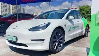 День электротранспорта в Минске - 2023