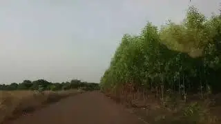 Đường xuyên rừng Mã Đà | Hồ Trị An