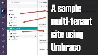Example Umbraco Multi-tenant site explained