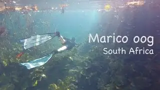 Freediving at Marico oog