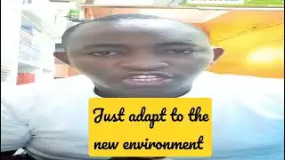 Just adjust to the new environment