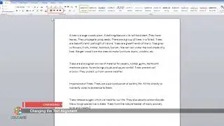 Formatting a Document in MS Word 2010