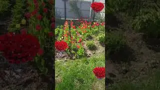 Красота😍