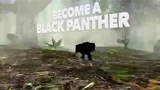 Panther Simulator: Game Trailer for iOS and Android