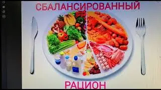 Лекция рак